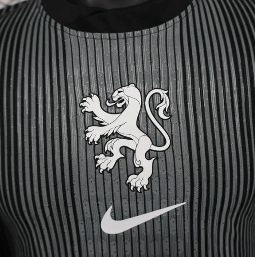 Camisa Holanda Goleiro 25/26 Jogador Masculina - Cinza