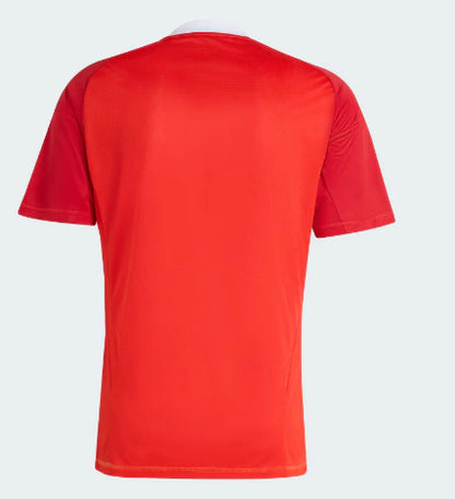 Camisa Goleiro Flamengo Torcedor III - Masculina Temporada 25/26 - Vermelha