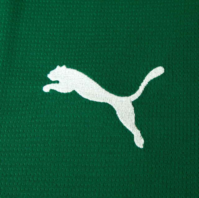 Camisa Palmeiras Torcedor - 26/27 - Verde - SportingBet - PRÉ VENDA