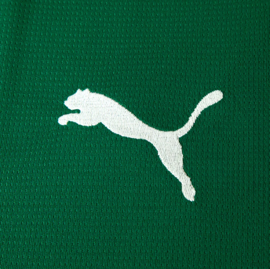 Camisa Palmeiras Torcedor - 26/27 - Verde - SportingBet - PRÉ VENDA